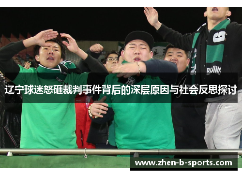 辽宁球迷怒砸裁判事件背后的深层原因与社会反思探讨