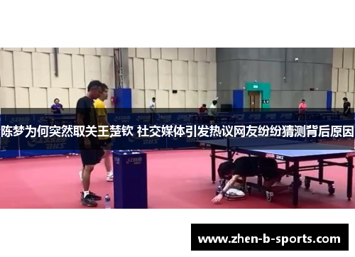 陈梦为何突然取关王楚钦 社交媒体引发热议网友纷纷猜测背后原因 陈梦为何突然取关王楚钦 社交媒体引发热议网友纷纷猜测背后原因