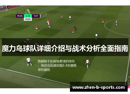 魔力鸟球队详细介绍与战术分析全面指南